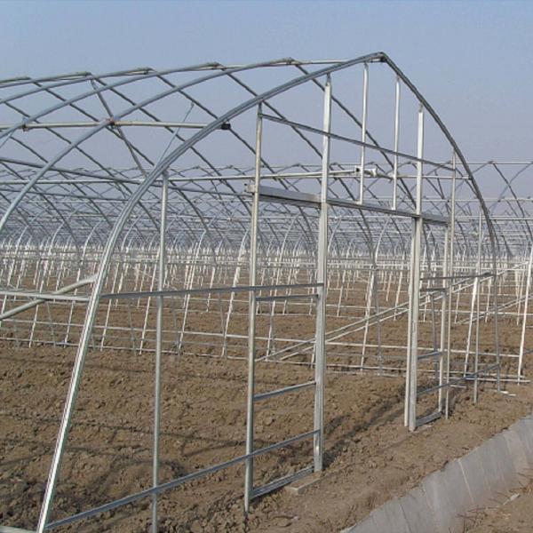 Commercial Agricultural High Tunnel Plastic Greenhouse Single Span for Tomato