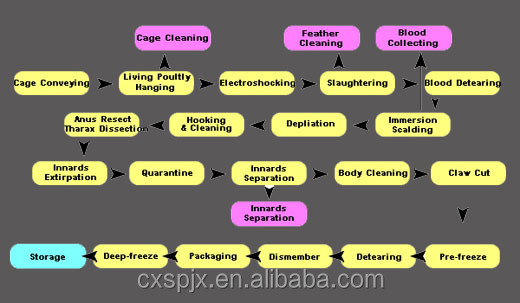Chicken Duck Goose Bird Semi Auto Slaughter Machine For Poultry Meat Processing Plant