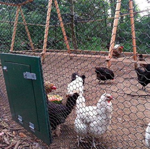 PVC Hexagonal Wire Mesh 3/4 inch 19 Gauge Black Poultry Netting