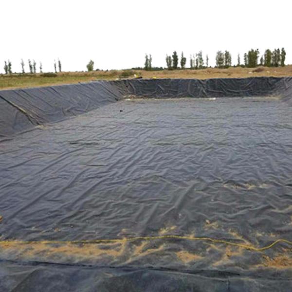 Fish Pond Shrimp Pond Dock Engineering Reservoir Geomembrana Waterproof Membrane