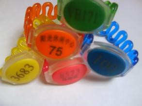 China Waterproof IC/ID Hand Catenary, RFID sauna bath waterproof Wristband wholesale