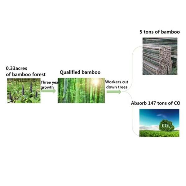 Fsc Non-Woven Bag Environmentally Friendly Biodegradable Plant Fiber For Electronic Product Protect