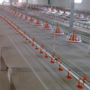 China 304 SS Broiler Breeder Farm Nipple System In Poultry Farm wholesale