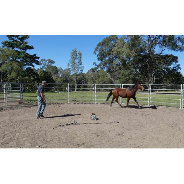 Portable Horse Stall Panels Heavy Duty 6 Oval Rail - Cattle Yards Horse Panels Round