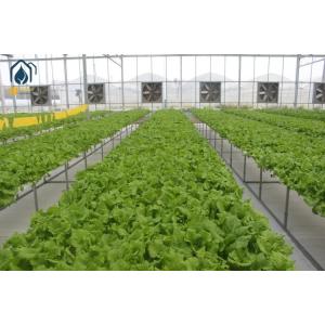 China NFT Hydroponic Lettuce Grow Hydroponic System With Vegetable Hydroponic Tubes wholesale