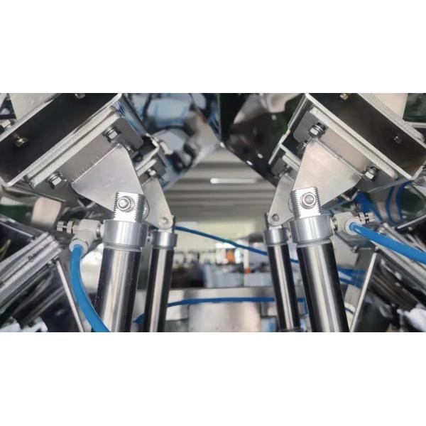 High Speed Granules Multihead Weigher Waterproof Double Head Linear Scales