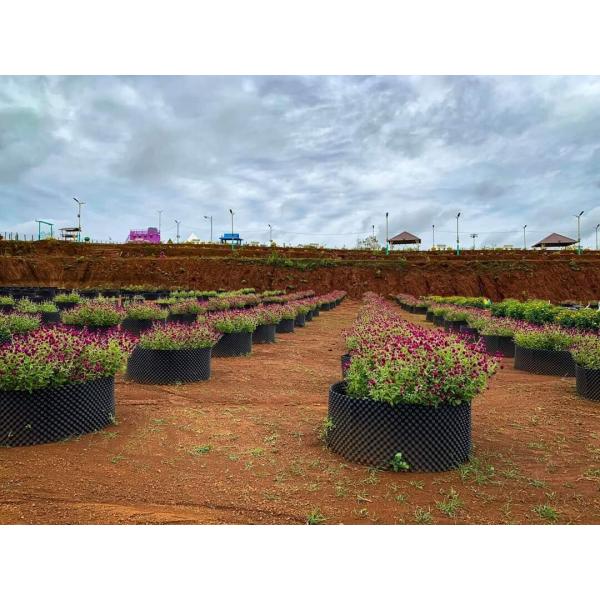 Plastic Plant Pot root pot in lower price