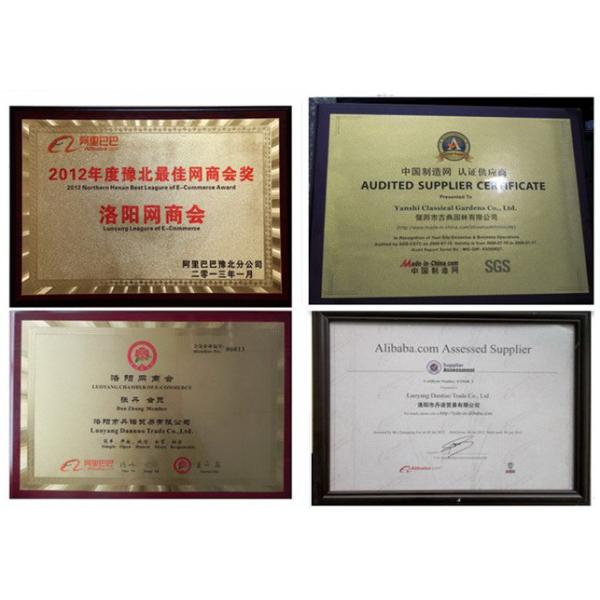 Garden Designs 4M Chinese Wood Gazebo Pagoda Building Outdoor Backyard