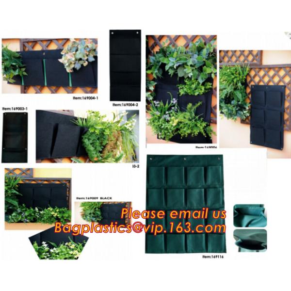 Garden used tomato plastic film cover,high light transmittance solar control seeding nursery greenhouse covers,100% virg
