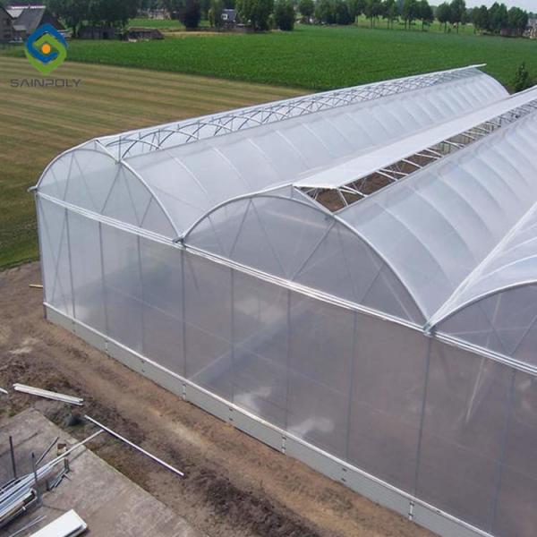 China Arch Roof 10.8m PC Sheet Greenhouse Flower Growing wholesale