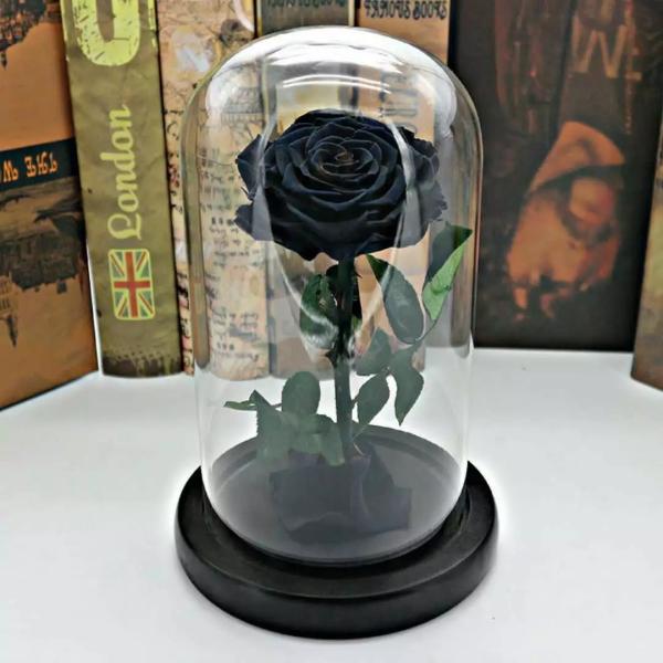 Real Natural Fresh Big Rose Preserved Flower Preserved Everlasting Real Roses in Glass Dome for Sale