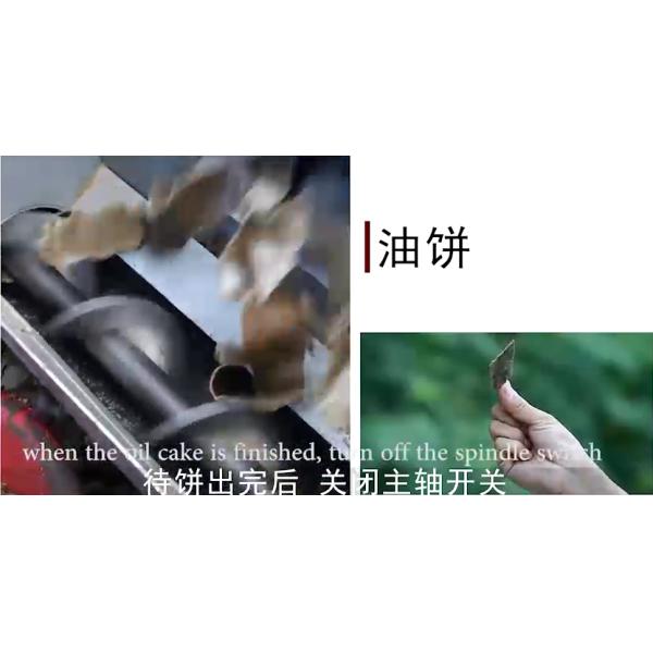 Spiral Oil Extraction Machine For Sunflower Seeds