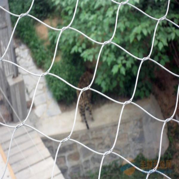 Anping flexible stainless steel wire mesh, SS Rope Wire Mesh,stainless steel cable mesh