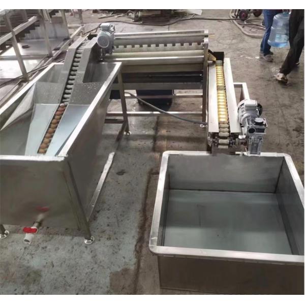 Automatic Hen Egg Cleaner Equipment/Duck Egg Washing Machine/Egg Cleaning Machine For Processing Egg Stainless Steel Linear Egg Washer with Gentle