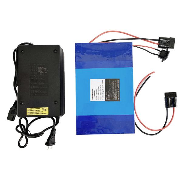 Deep Cycle LFP Lithium Lifepo4 Batteries For Electric Bicycles