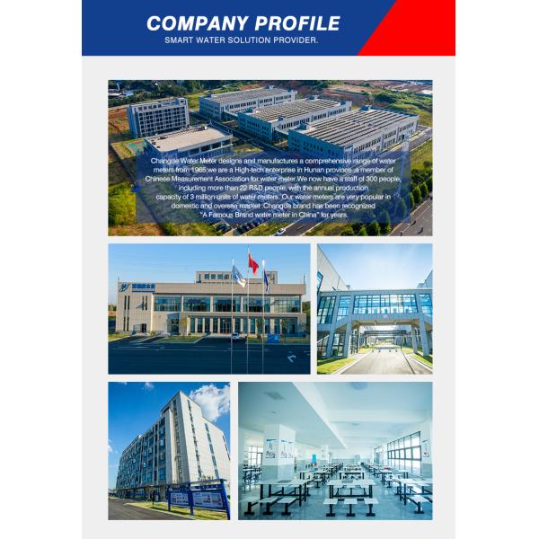 LoRawan Water Meter Wireless Remote Reading Good Quality with Cheap Price Indonesia Market