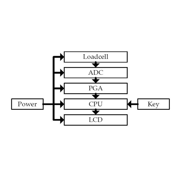 100kg 50kg 200kg Digital Crane Hanging Hook Weighing Scale