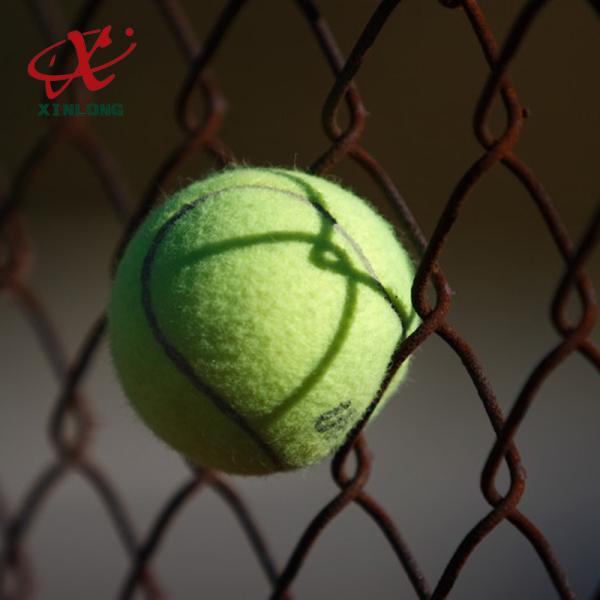 Anping Xinlong electric galvanized or hot dipped galvanized/PVC chain link fence