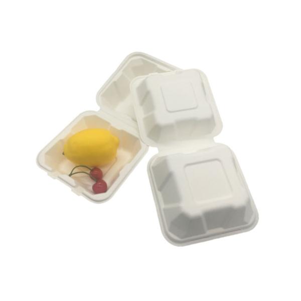 6 Inch Sugarcane Eco Hinged Biodegradable Takeout Containers