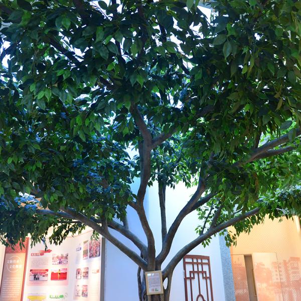 Customized Height faux banyan tree fire resistant Large Commercial Ficus Artificial Tree For Indoor Decoartion