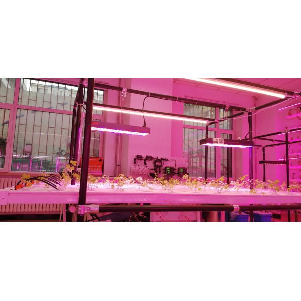 Greenhouse Agriculture Iot Vertical Factory For Modern Agriculture