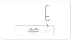 GICA Nasal Covid 19 Rapid Test Kit 20 Tests / Kit Rtk Nasal Swab