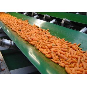 Green PVC Conveyor Belt Thickness 2 - 13 Mm