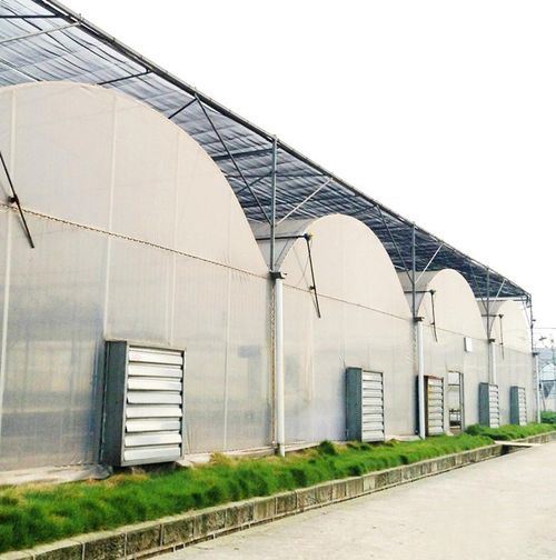 Industrial Wall Mounted Drop Hammer Fan Negative Pressure Hammer Ventilation Exhaust Fan with CE Certificate