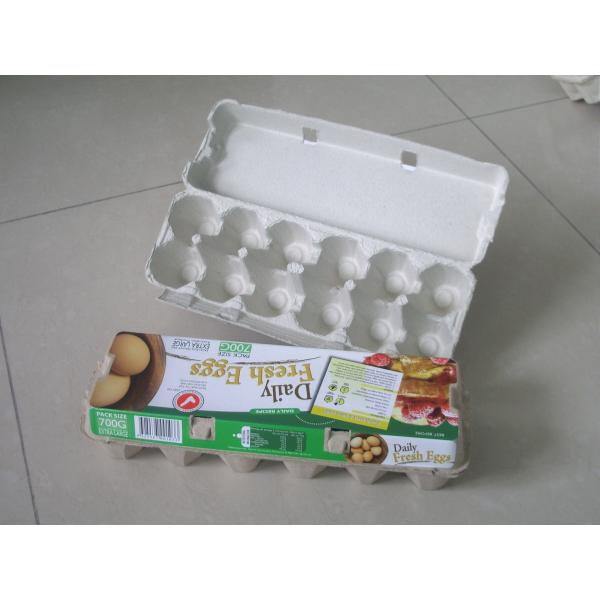 Packing Automatic Egg Box Forming Machine 70KW Chicken Farming Use for Tray