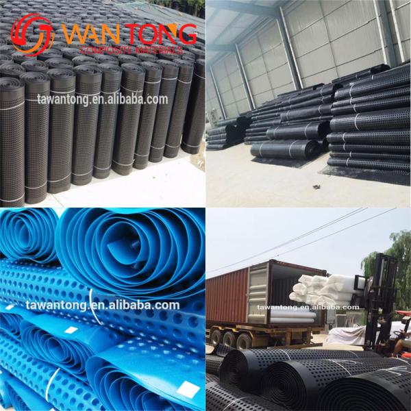 Construction Blue HDPE Board 10mm Drainage Cell with CE/ISO9001/ISO14001 Certifications