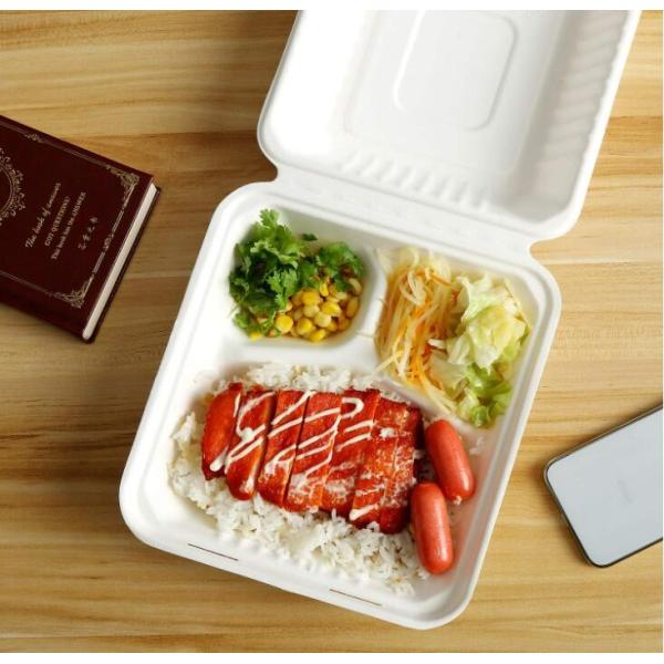 8 Inch Biodegradable Sugarcane Bagasse Clamshell 3 Compartment Disposable Lunch Box