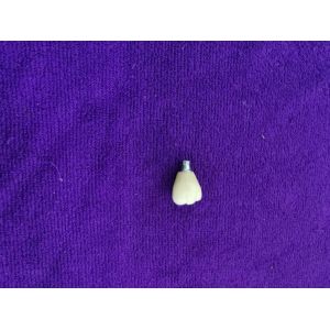 China Single Tooth Trushine OSSETEM Dental Implants Fixture Level wholesale