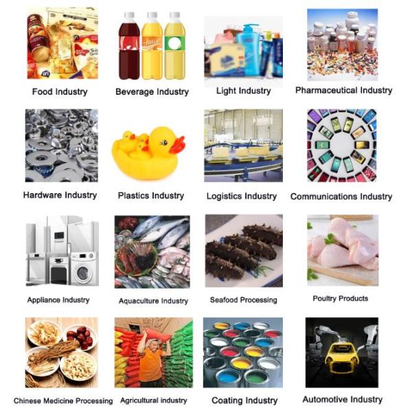 Conveyor Weight Sorting Machine