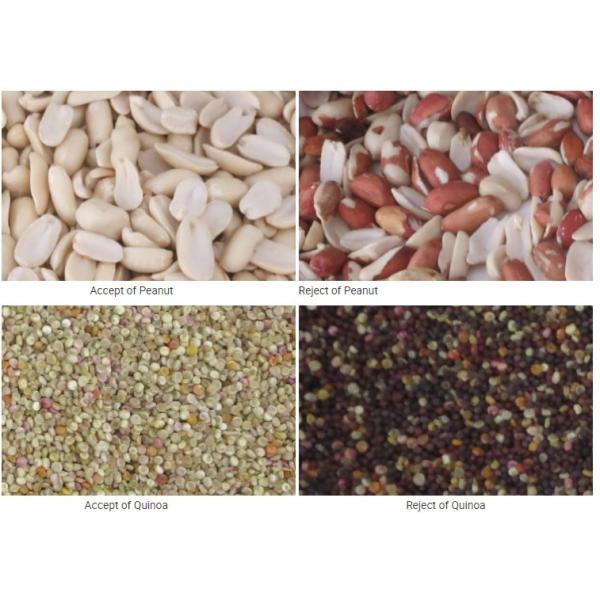 4 Chutes 256 Channels Pecan Sorting Machine CE ISO9001 approval