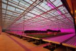 110L Automatic Fertilizing Machine Integration Irrigation Fertilization System