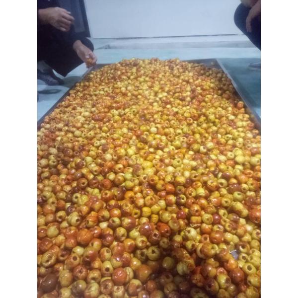 Multi Function Automatic Vacuum Fryer Machine for Fruits / Vegetables / Seafood