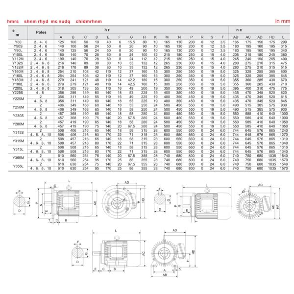 8 Pole Three Phase Asynchronous Motor With Cast Iron Motor Body For Food Machine