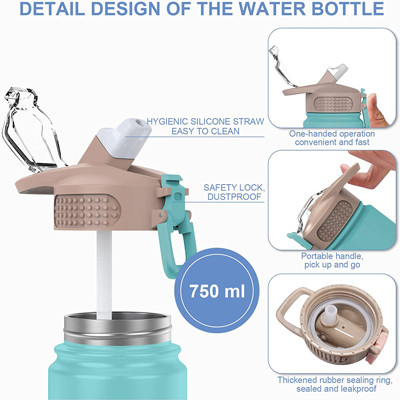 Multicolor Insulated Double Wall Stainless Steel Water Bottles With Straw