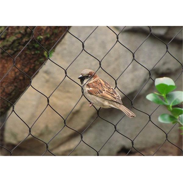 AISI304 AISI316L Animal Enclosure Mesh Zoo Aviary Netting 25x25mm