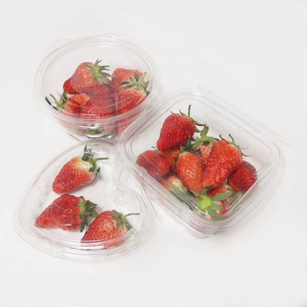 Disposable Transparent Plastic Fruit Salad Container Clamshell Packaging Box Strawberry