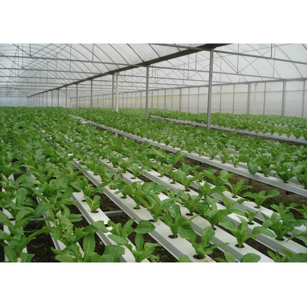 Commercial NFT Single Hydroponic System Growing Vegetable with Film Cover