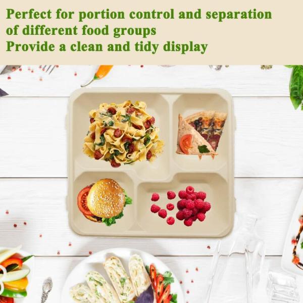 Eco Friendly Biodegradable Sugarcane Bagasse Pulp Paper Take Away Hot Food Container For Food