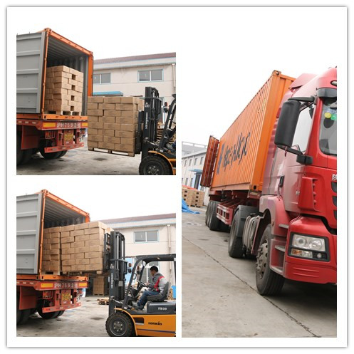 Custom Eco Friendly Colorful Ice Blocks For Cool Boxes 100Ml Apple Shape