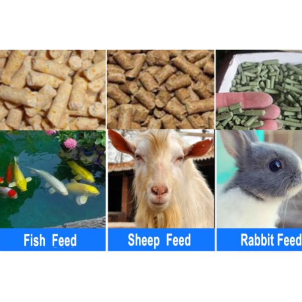 Household 180kg/h Feed Pellet Machine For Fish