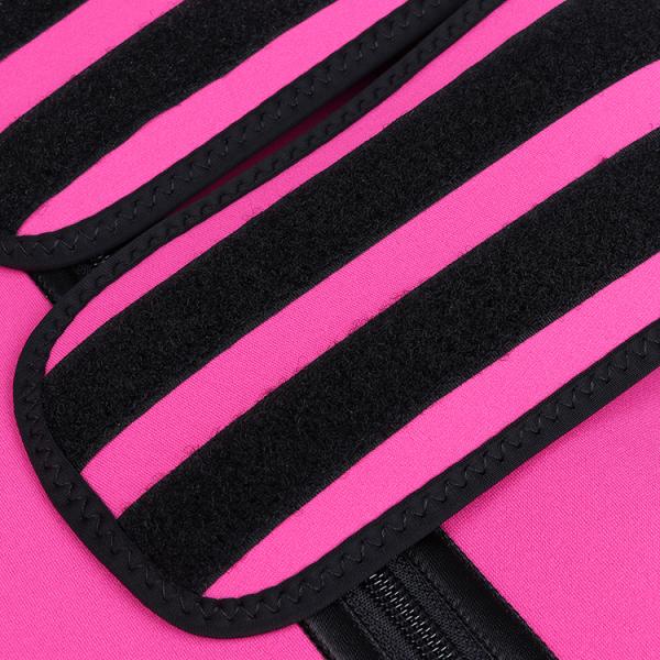 Private Label Double Belt Waist Trainer Belt HEXIN Neoprene for Women's Control Panties