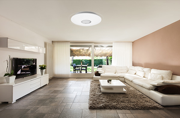 AC 220V 56W Smart LED Ceiling Light , Round LED Ceiling Light Adjustable By APP