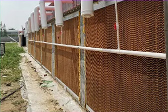 Q235 Steel Automatic Poultry Farm Equipment Chicken Layer Cages For Laying Hens