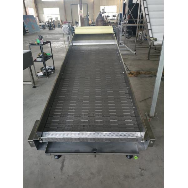 Customized Size Stainless Steel Wire Mesh Belt Conveyor Washing Vegetables
