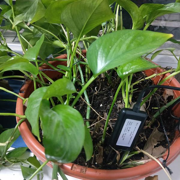 RS485 Modbus SDI12 4-20mA 0-2V Output Soil Moisture Sensor with IP68 Protection Level