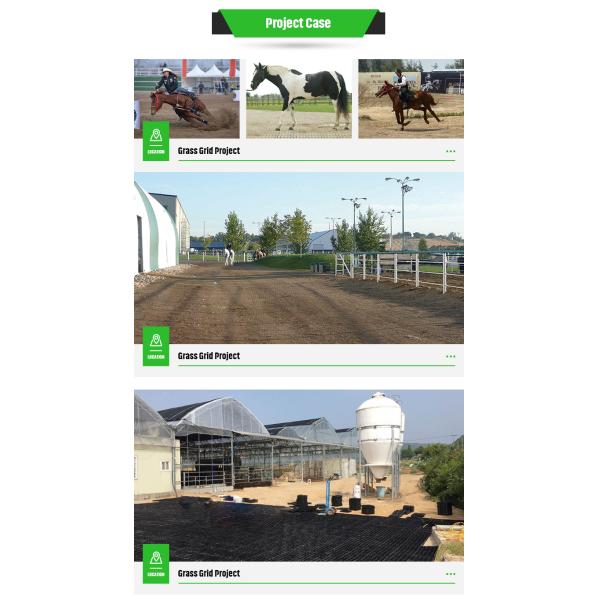 Durable Grassland Stabilization Plastic Grid for Long-Lasting Ground Stabilization